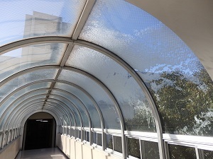 c0386412_18361338.jpg