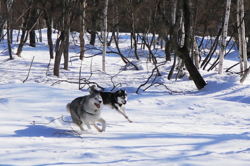 白馬で雪遊び_b0207615_22085313.jpg