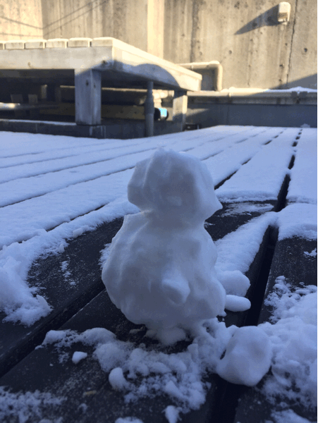 b0268815_08530912.gif
