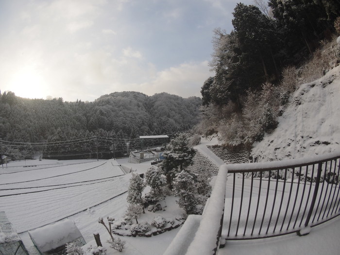 今朝も真っ白、雪景色_c0116915_22362419.jpg