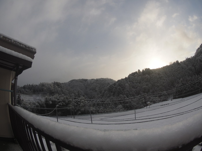 今朝も真っ白、雪景色_c0116915_22363647.jpg
