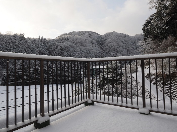 今朝も真っ白、雪景色_c0116915_22365671.jpg