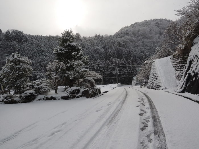 今朝も真っ白、雪景色_c0116915_22373825.jpg
