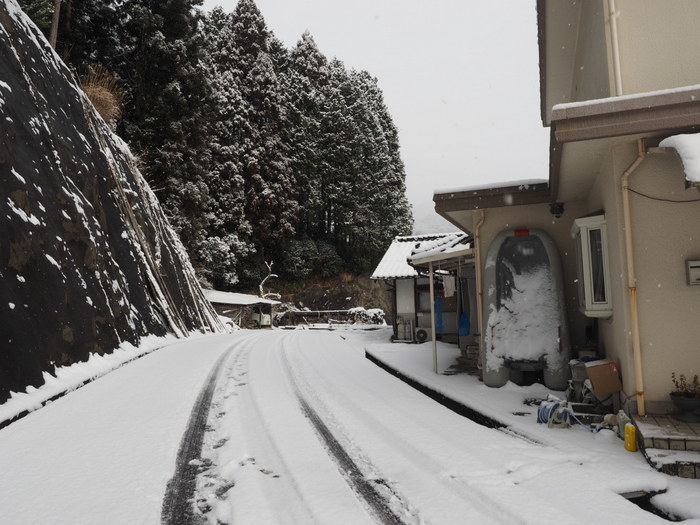 今朝も真っ白、雪景色_c0116915_22380582.jpg