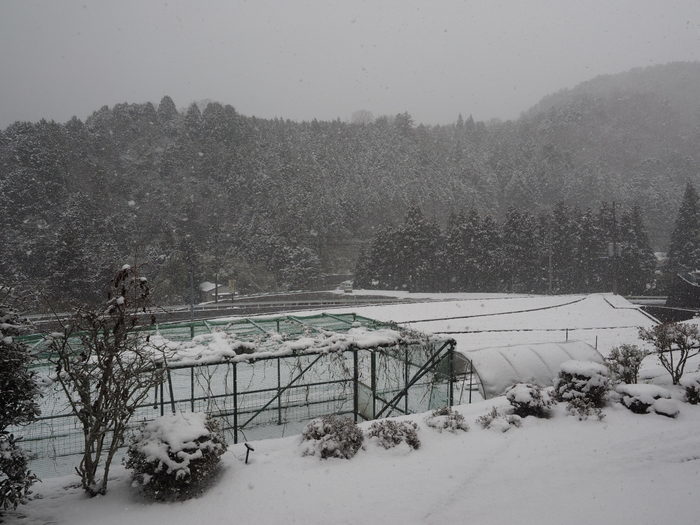 また、雪が降った_c0116915_22421484.jpg