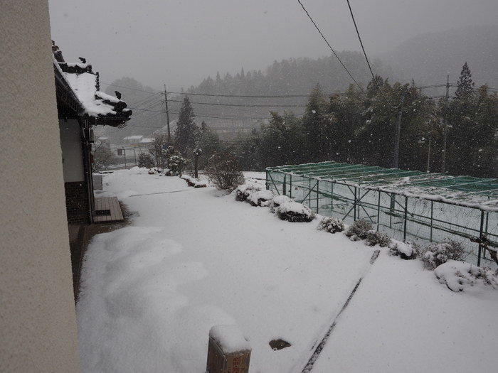また、雪が降った_c0116915_22422708.jpg