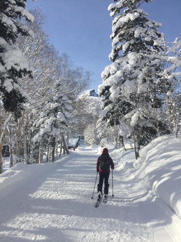2018年1月『行く年、来る年、雪山に遊ぶ』　January 2018 \"The Snow Season Has Come\"_c0219616_18055894.jpg