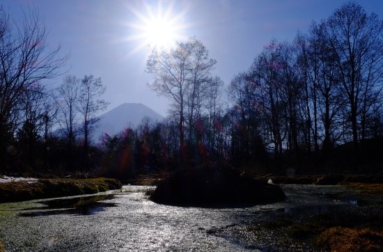 国の天然記念物に指定た透明な湧き水と富士山と美しい日本の風_a0113718_18303470.jpg