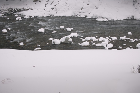 昨夕から新雪34㎝・・・朽木小川・気象台より_c0044819_1401512.jpg