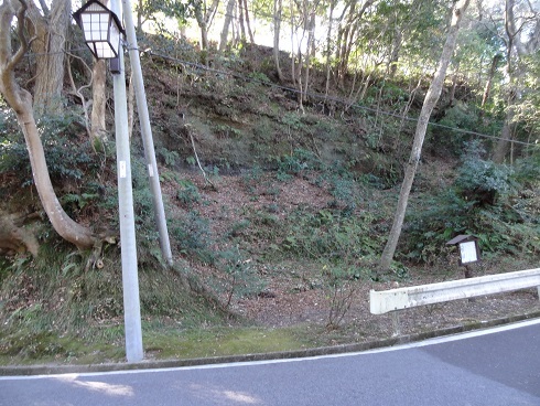 f0000521_15255504.jpg