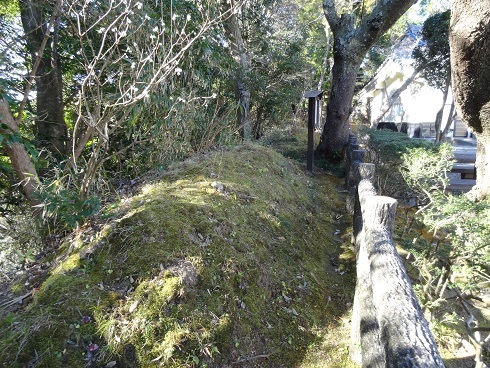 f0000521_15354520.jpg
