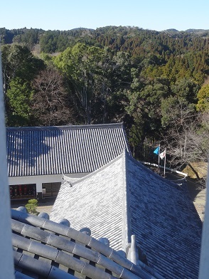 f0000521_15363739.jpg