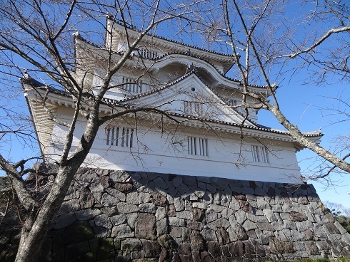 f0000521_15402431.jpg
