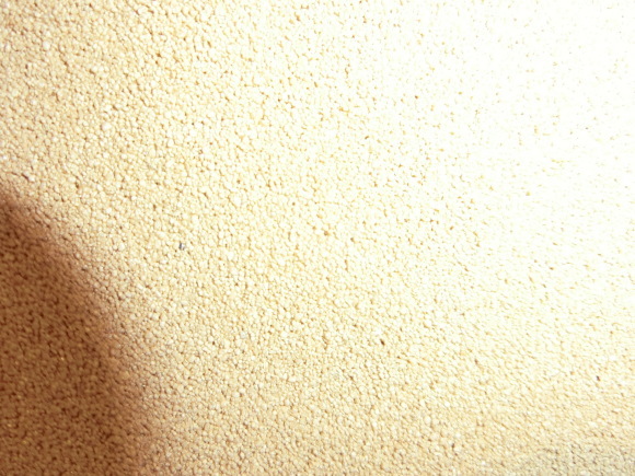 a0366823_15391831.jpg
