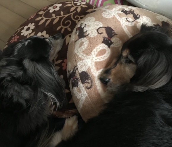 b0029126_18512426.jpeg