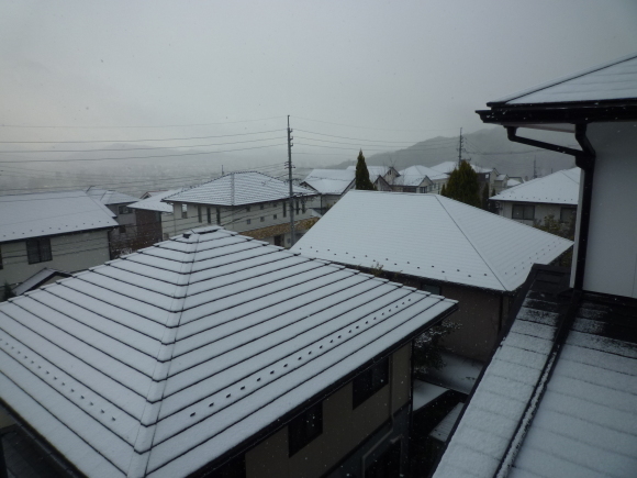 d0334331_15282924.jpg