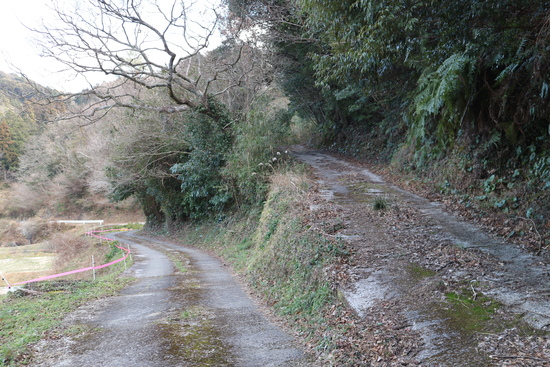 e0272335_18968.jpg