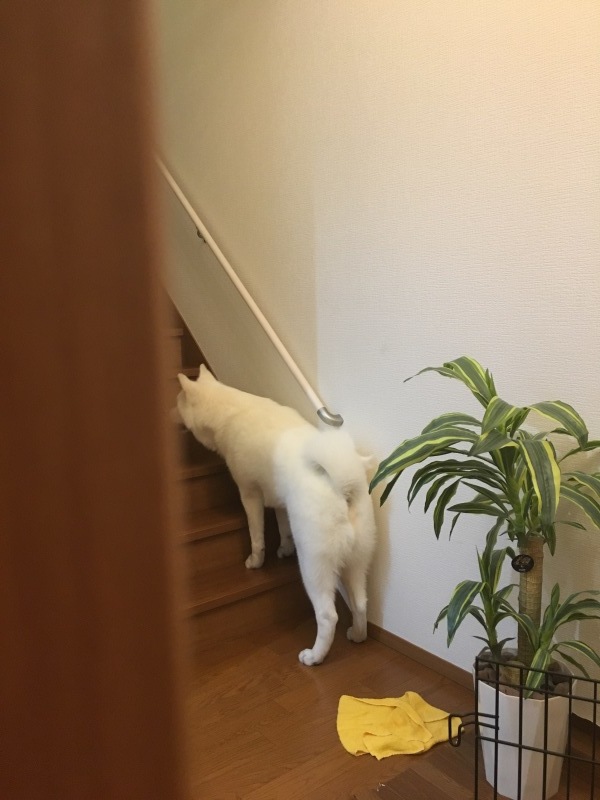 e0364035_00504365.jpeg
