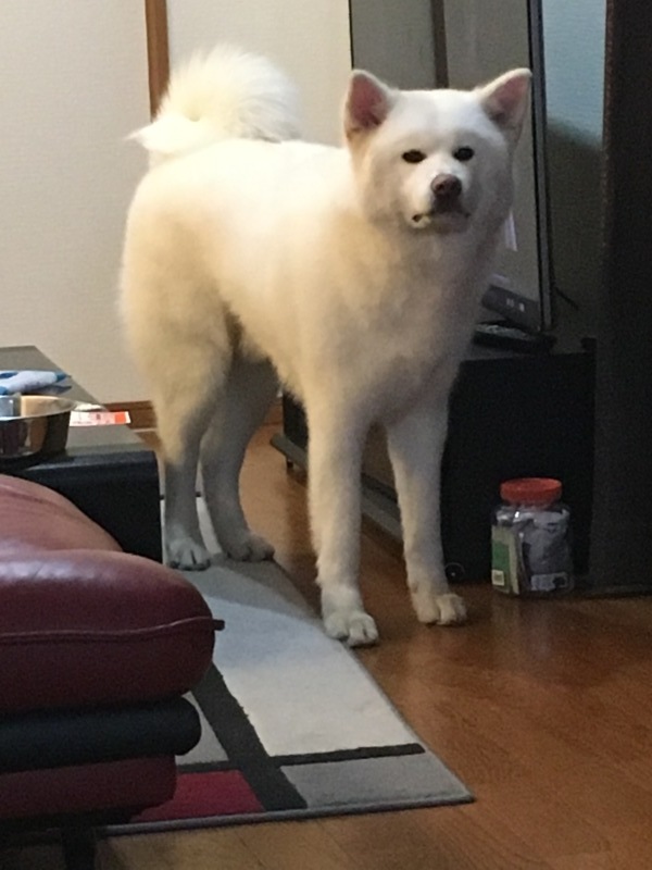 e0364035_01124369.jpeg