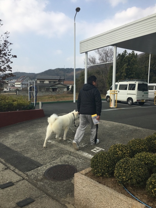 e0364035_01192979.jpeg