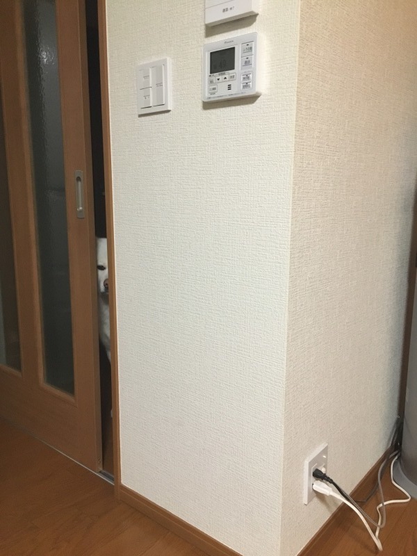 e0364035_01451843.jpeg