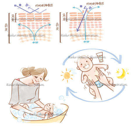 ゼクシィbaby ママと赤ちゃん 肌断面イラスト 女性誌を中心に活動するイラストレーター 清水利江子の仕事ブログ