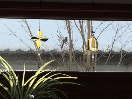 a0272241_17315274.jpeg