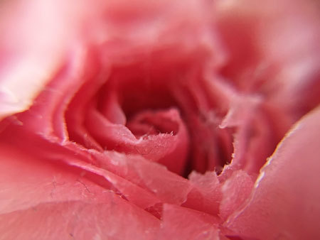 a0221044_23273340.jpg