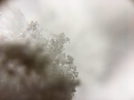 a0221044_23275613.jpg