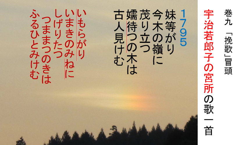 a0237545_14471914.png