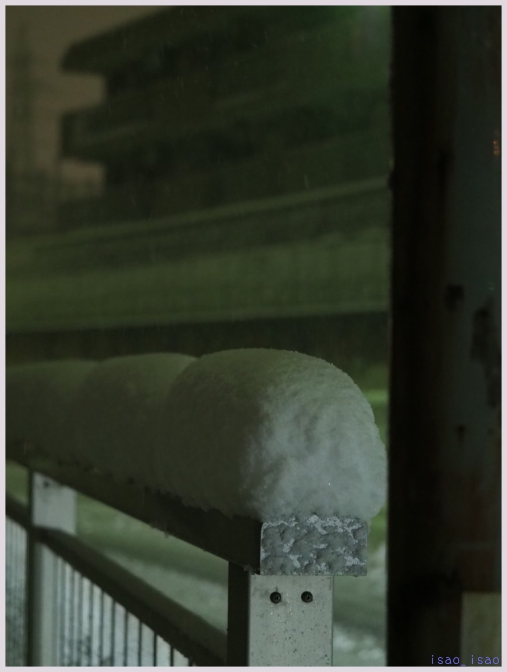 4年ぶりの大雪‐2　　　008）_c0068050_22484775.jpg