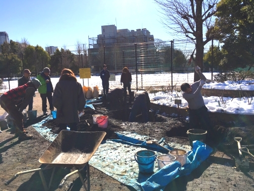 1月25日駒場野公園バラ花壇改修作業_a0094959_22292374.jpg