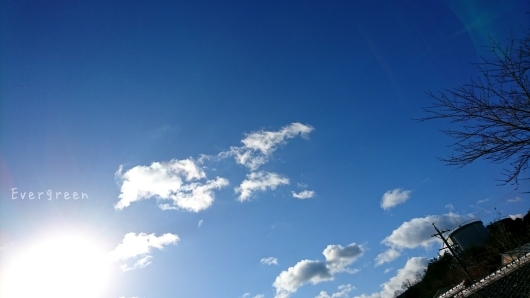 d0362666_20011931.jpg