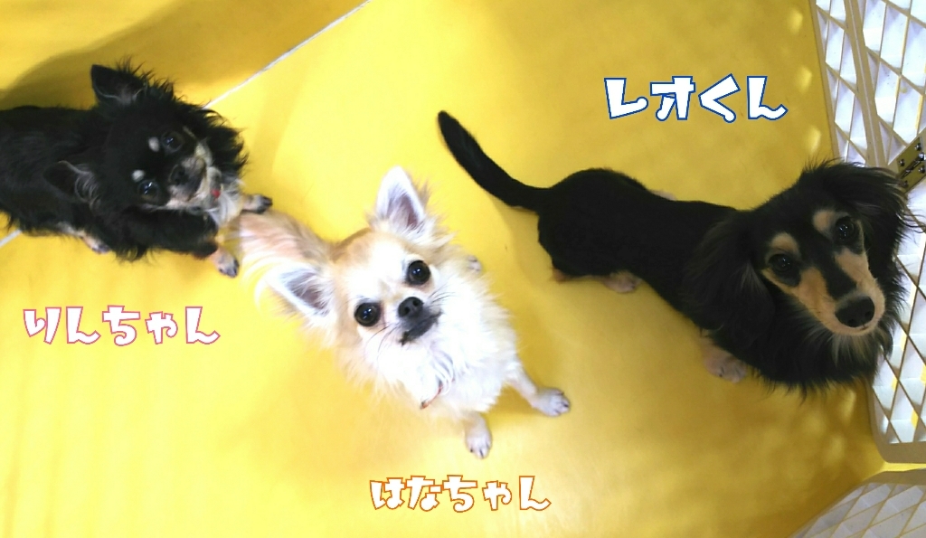 トレーニングブログ_f0357682_21530184.jpg