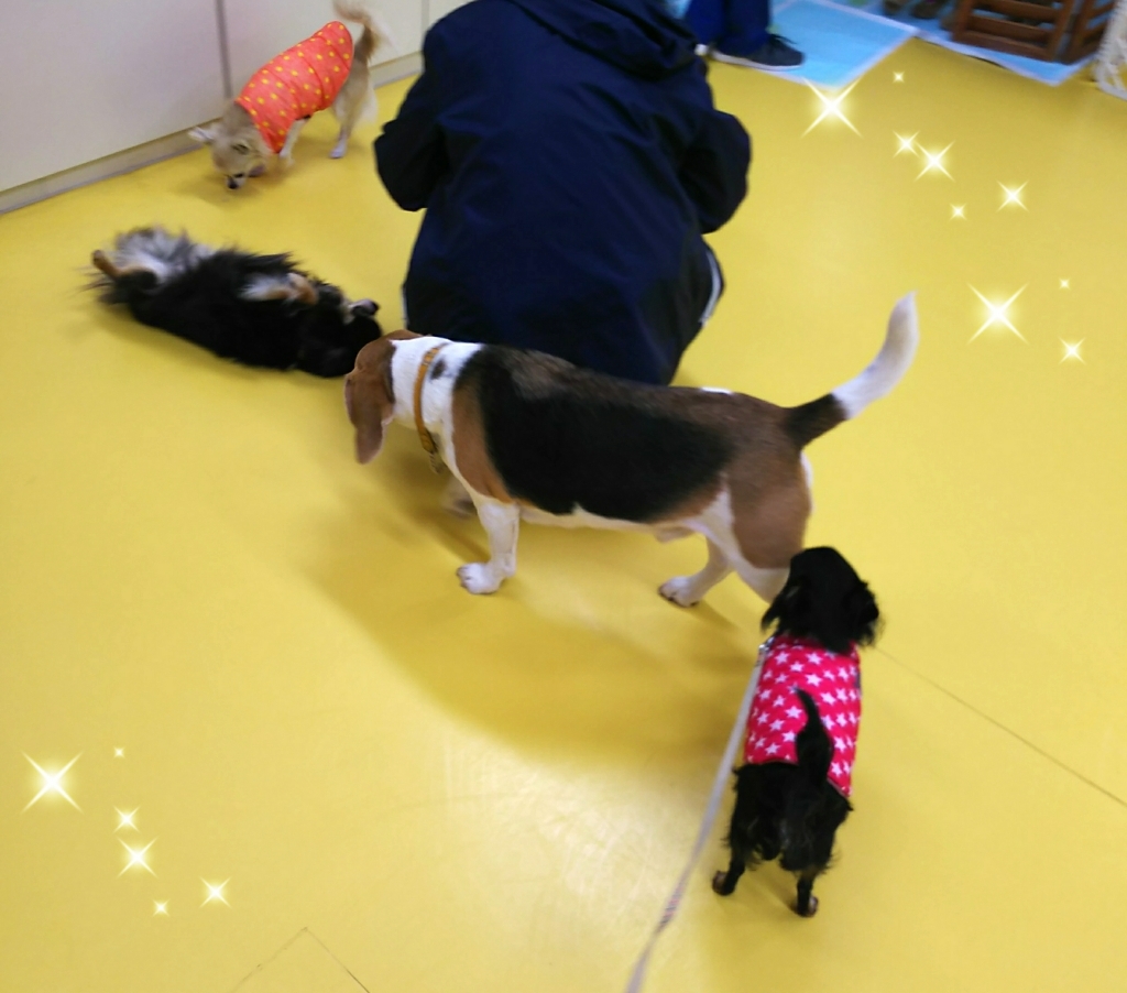 トレーニングブログ_f0357682_21530210.jpg