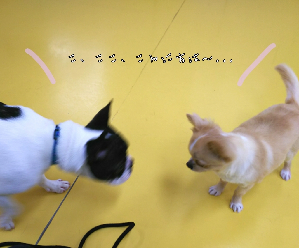 トレーニングブログ_f0357682_21531234.jpg
