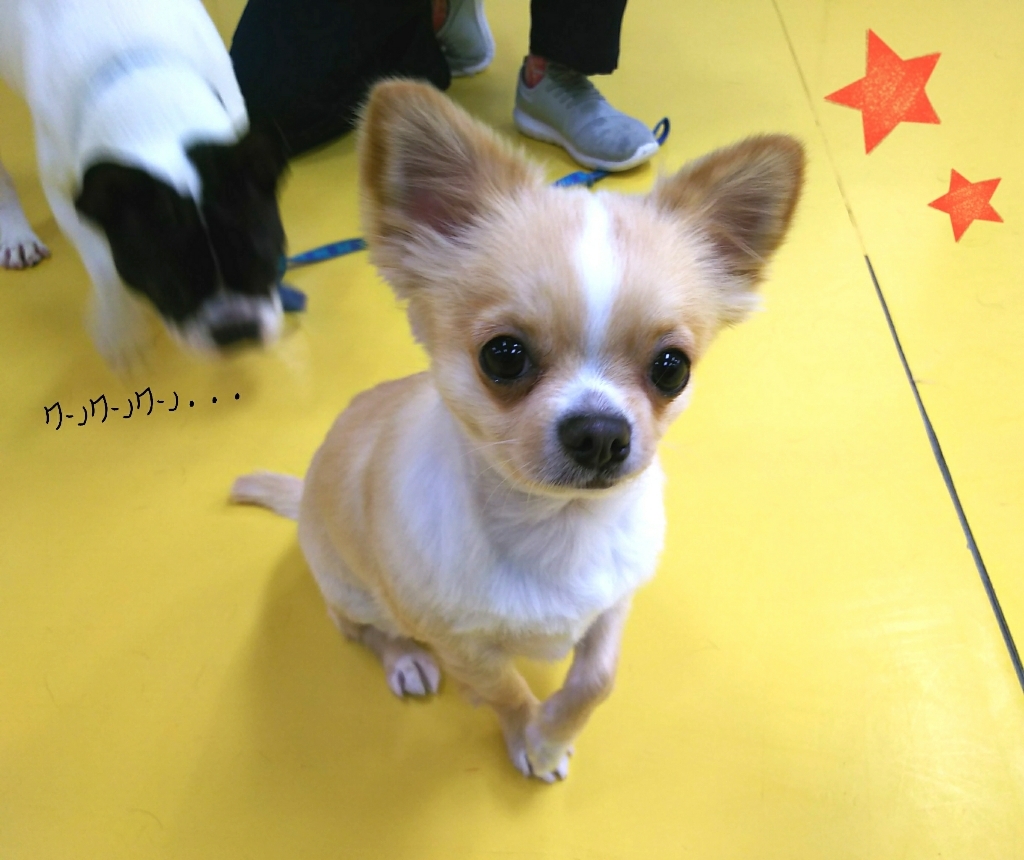 トレーニングブログ_f0357682_21531409.jpg