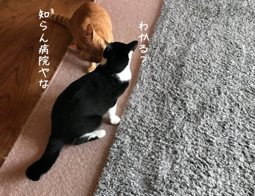 a0216583_09292491.png