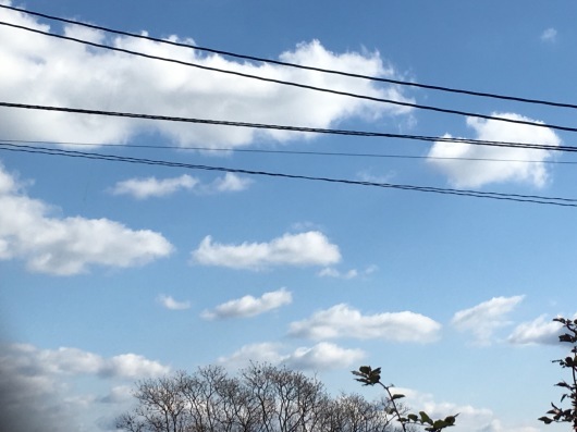 b0336787_23474261.jpeg