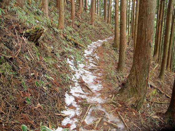 まさかの雪なし、観音峰山で電波難民　JA/NR-009_f0073587_057232.jpg