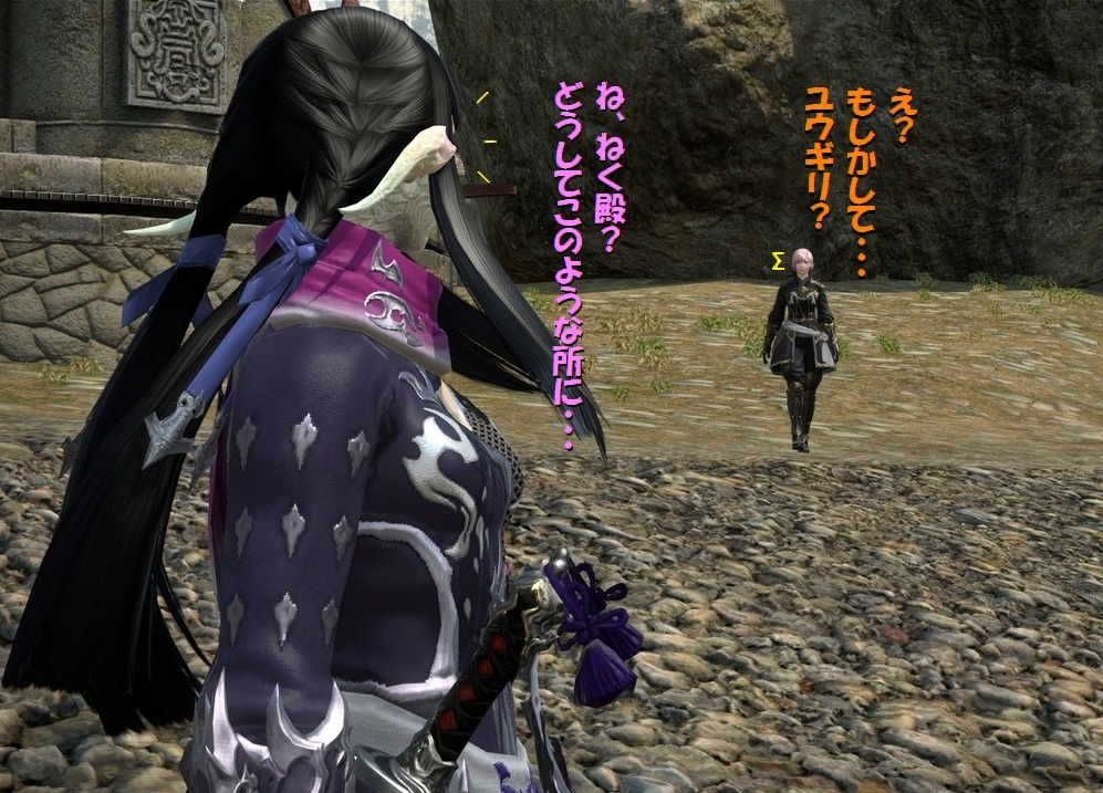 違うタイプのイケメン ねくのff14冒険記 違うタイプのイケメン ねくのff14冒険記