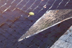 e0354596_13312643.jpg