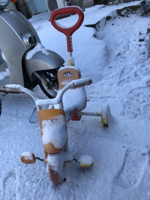 f0235097_10452094.jpeg