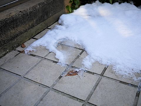 c0090198_20223315.jpg