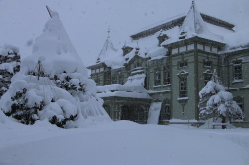 米沢キャンパスの雪景色：2018.1.26　昼下がり・２_c0075701_21194169.jpg