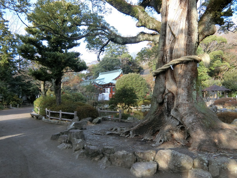 静岡浅間神社_a0362603_19310207.jpg