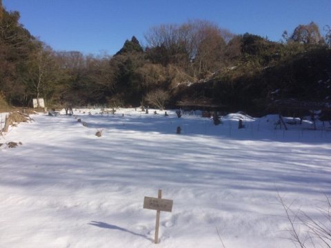 e0270403_20394484.jpg