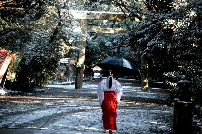 　雪の熱田神宮_d0140806_1358043.jpg