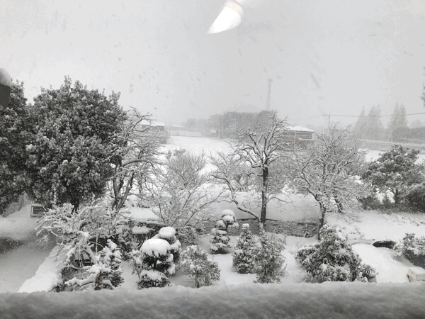 e0001906_10362093.gif