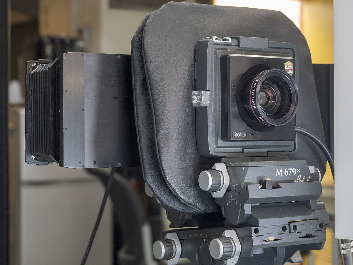 弘法筆を選ぶ…？ 1月25日（木） 6298 : from our Diary. MASH 「写真は